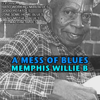 A Mess of Blues by Memphis Willie B.