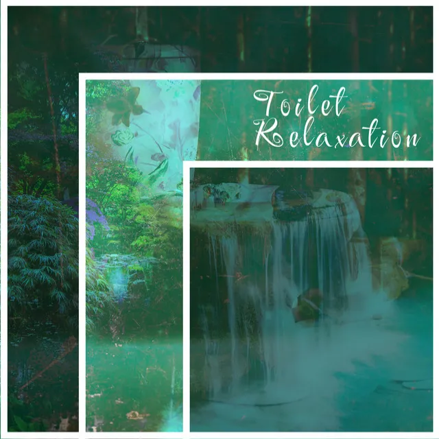 Toilet Relaxation: Peaceful Atmosphere, Constipation Therapy, Relief on the Toilet