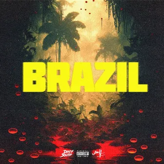 BRAZIL by Manny Flaco