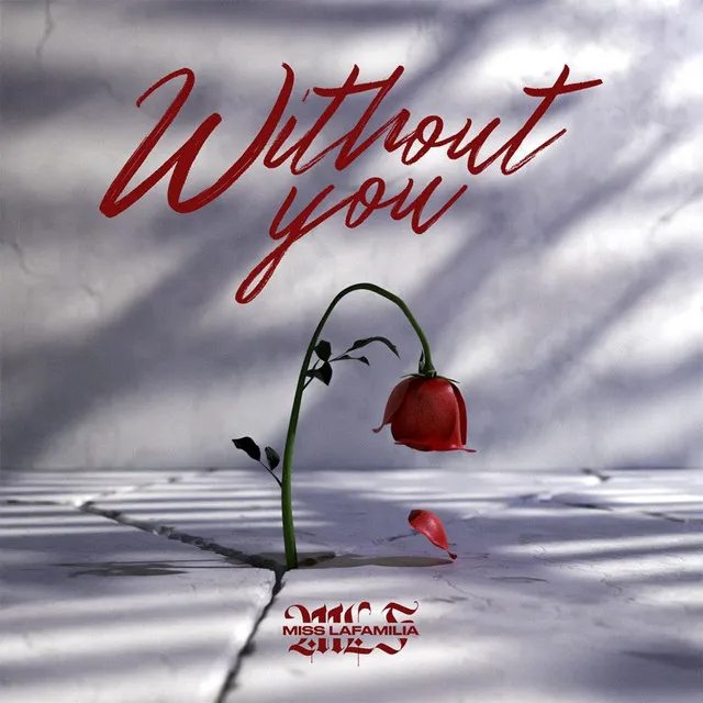 Without You