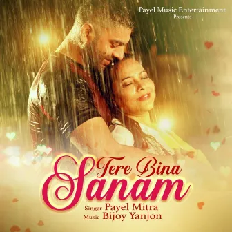 Tere Bina Sanam by Payel Mitra