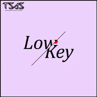 Low Key by The Strange Algorithm Series