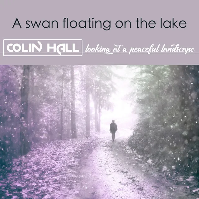 A Swan Floating on the Lake