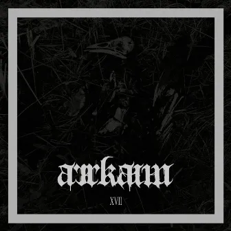 XVII (Redux Instrumental) by Arrkaim