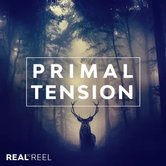 Primal Tension by Christopher Deighton