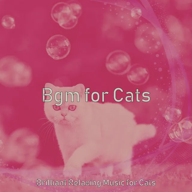 Dream-Like Easy Listening Music - Vibe for Kittens