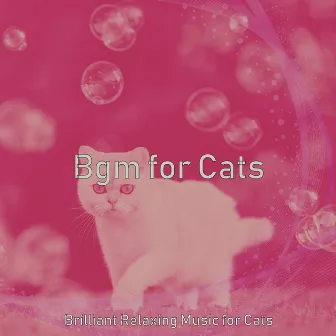 Bgm for Cats by Brilliant Relaxing Music for Cats