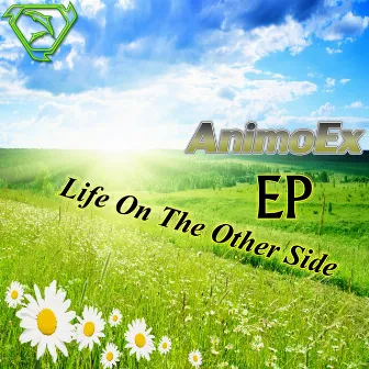 Life On The Other Side by AnimoEx