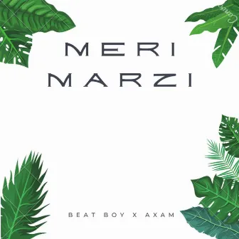 Meri Marzi by Axam