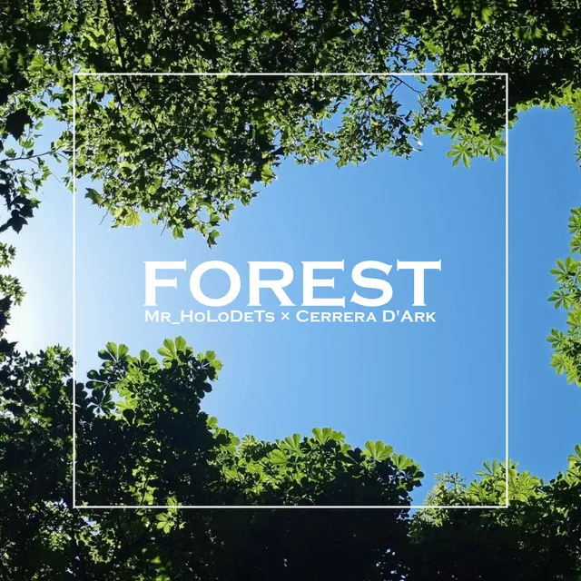 Forest - Speed Up