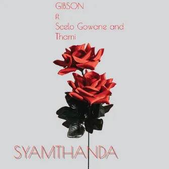 Syamthanda by Gibson