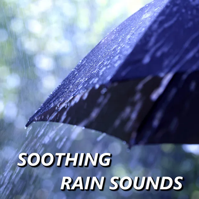 Storming Rain Sounds