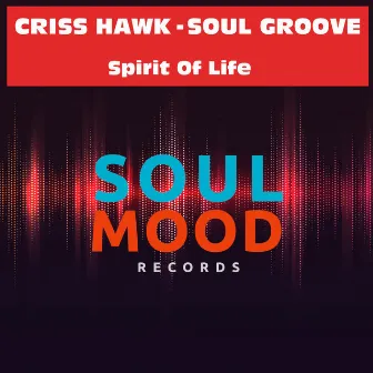 Spirit of Life by Criss Hawk