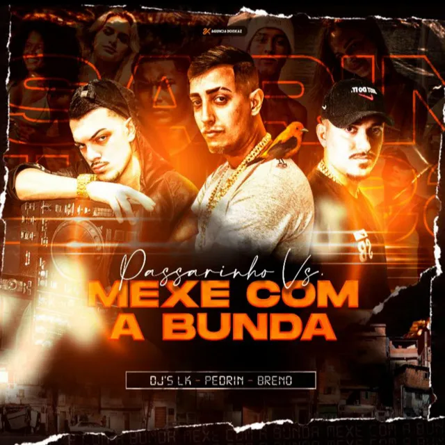 Passarinho Vs Mexe Com a Bunda - Remix