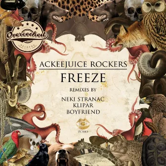 Freeze by Ackeejuice Rockers