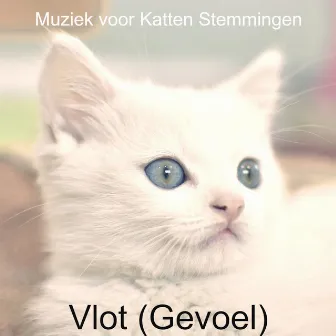 Vlot (Gevoel) by Muziek voor Katten Stemmingen