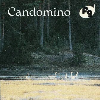 Candomino by Unknown Artist