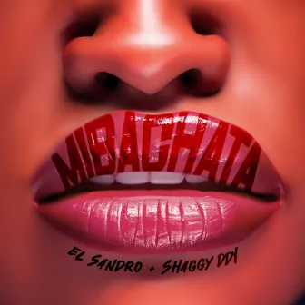 Mi Bachata by Shaggy Ddy