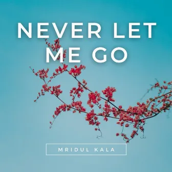 Never Let Me Go by Mridul Kala