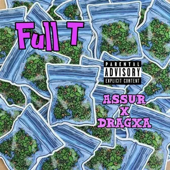 Full T by assur