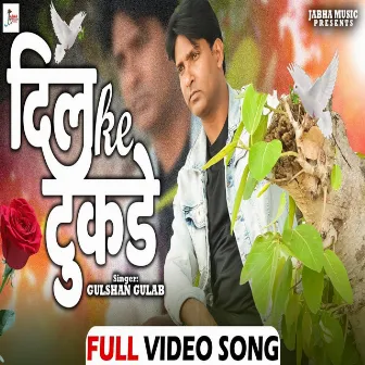 Dil Ke Tukde by Unknown Artist