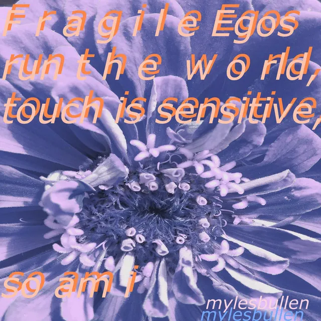 Fragile Egos Run the World, Touch Is Sensitive, So Am I