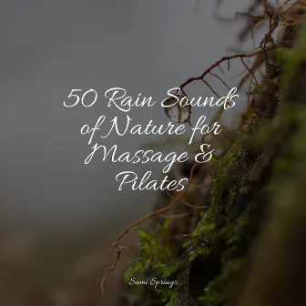 50 Rain Sounds of Nature for Massage & Pilates by Forest Sounds