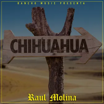 Las Favoritas de Chihuahua by Raul Molina