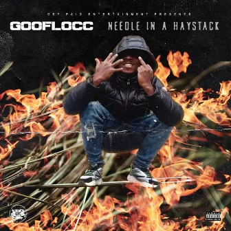 Needle In A Haystack by Gooflocc