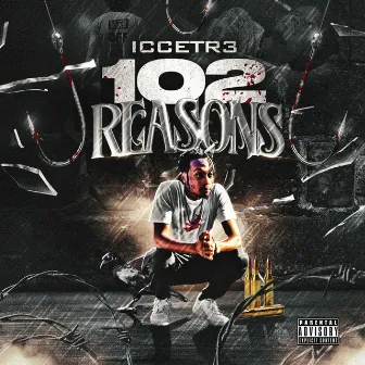 102 Reasons by Iccetr3