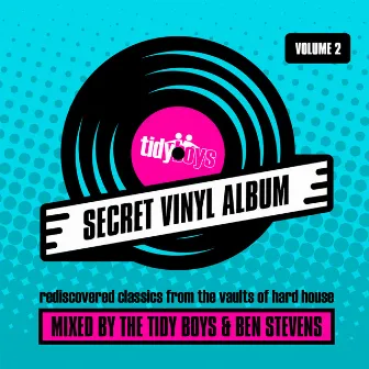 Secret Vinyl Album, Vol. 2 by Ben Stevens