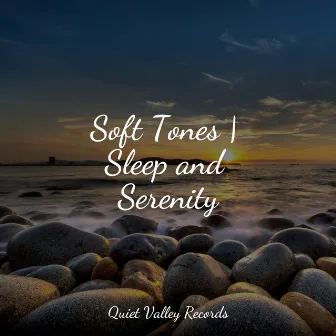 Soft Tones | Sleep and Serenity by Unknown Artist