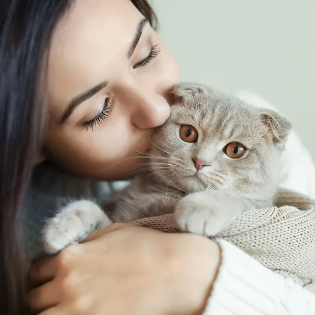 Cat's Music Gentle Bliss