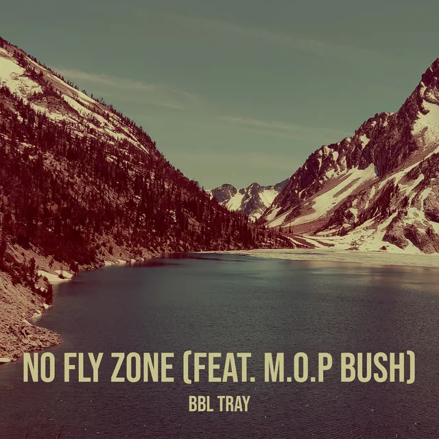 No Fly Zone