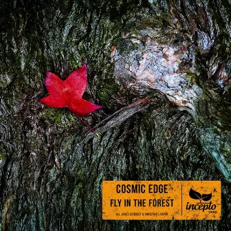 Fly in the Forest by Cosmic Edge