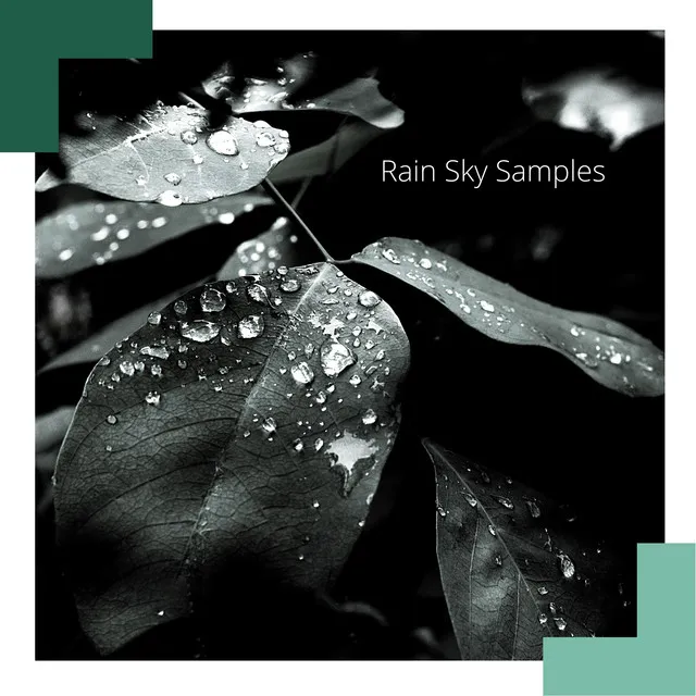 Rain Sky Samples 1