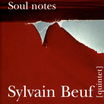 Soul Notes by Sylvain Beuf