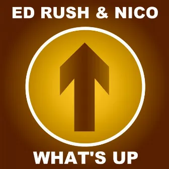 What's Up (2015 Remaster) by Nico