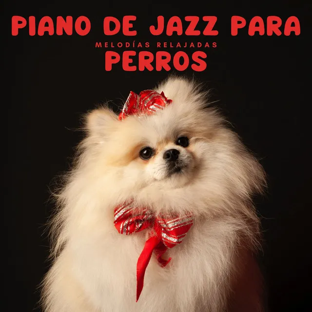 Piano De Jazz Para Perros: Melodías Relajadas