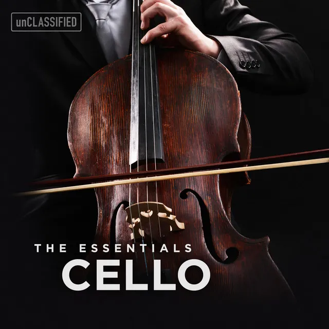 Cello Sonata in B-Flat Minor, Op. 8: III. Adagio non troppo