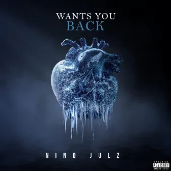 Wants You Back by Nino Julz