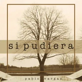 Si Pudiera by Pablo Vargas