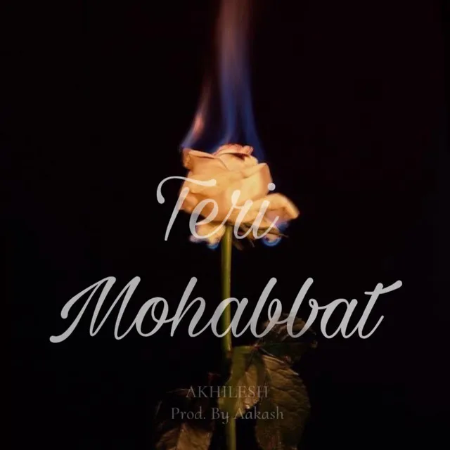 Teri Mohabbat