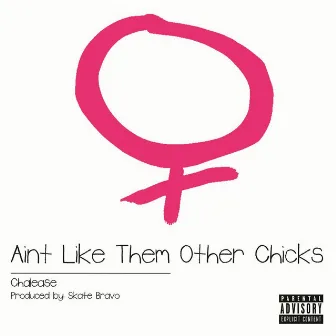 Ain't Like Them Other Chicks by Chalease