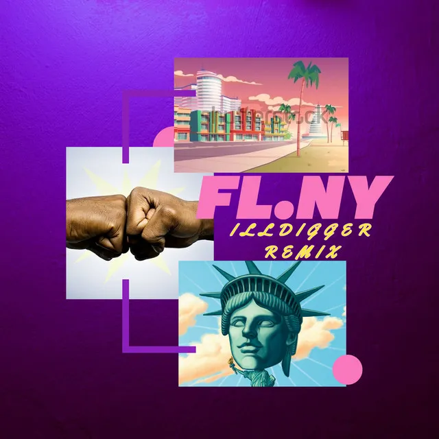 Fl.ny (ILLDIGGER REMIX)