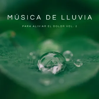 Música De Lluvia Para Aliviar El Dolor Vol. 2 by Música para Desayuno Música De Fondo