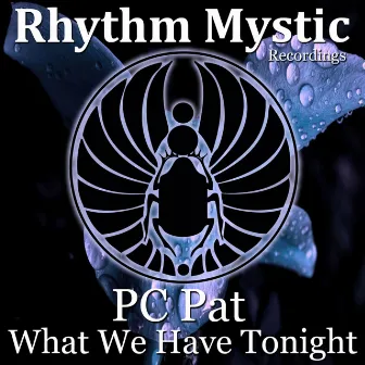 What We Have Tonight by PC Pat