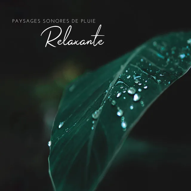 Paysages Sonores de Pluie Relaxante