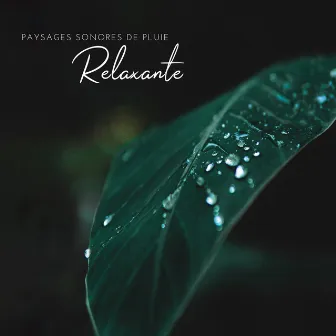 Paysages Sonores de Pluie Relaxante by Rain Sounds Nature Collection