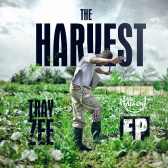 The Harvest by Tray Zee